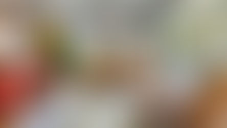 Casa Nova para um acervo afetivo, colorido e renovado