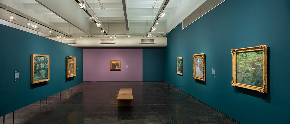 Exposição de Monet no MASP traz experiência sensorial com paredes coloridas