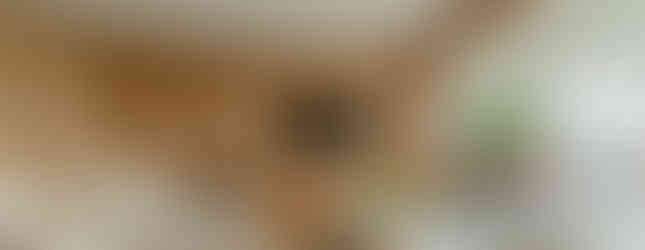 Apartamento de 230 m² combina marcenaria exclusiva e materiais naturais no décor