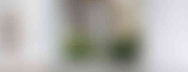 Apartamento de 40m² aposta na integração, luz natural e design minimalista