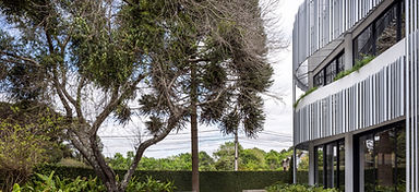 Sede da BHS South América em Curitiba ganha arquitetura orgânica, sustentabilidade e tecnologia