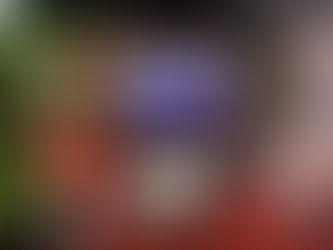 Carbono apresenta estúdio tropical contemporâneo para o mercado imobiliário