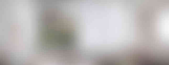 Apartamento de 40m² aposta na integração, luz natural e design minimalista