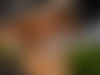 Casa Nomma marca a pré-estreia de nova grife de ferragens na Revestir