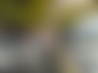 Morea Asian Fusion: onde arquitetura, arte e gastronomia criam um mundo próprio