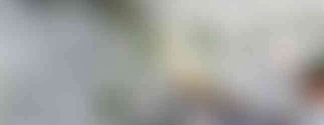 Música de Barbatuques inspira apartamento colorido de 90 m²