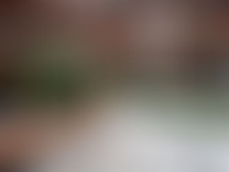 A casa que respira natureza