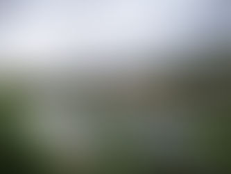 Resort Puradies: Entrelaçando-se com a natureza