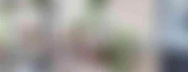 Música de Barbatuques inspira apartamento colorido de 90 m²