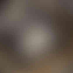 Outono: 10 peças com a cara (e as cores!) da estação