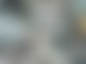 Duplex integra vibe cosmopolita com vista para a natureza