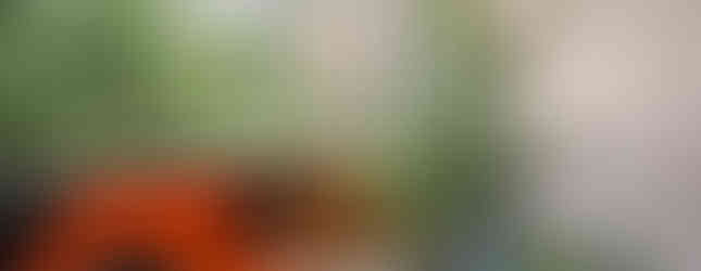 Música de Barbatuques inspira apartamento colorido de 90 m²