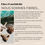 Miniature : Etoile Boule