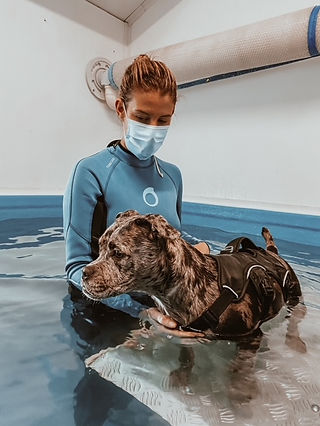 hydrotherapie hond puppy.JPG
