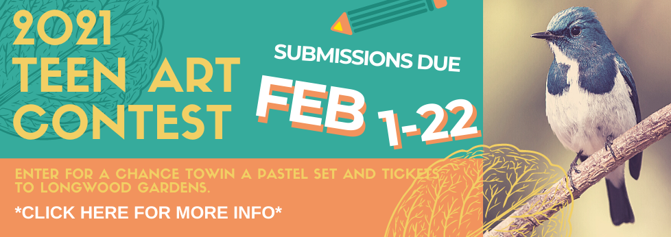 2021 Teen Art Contest