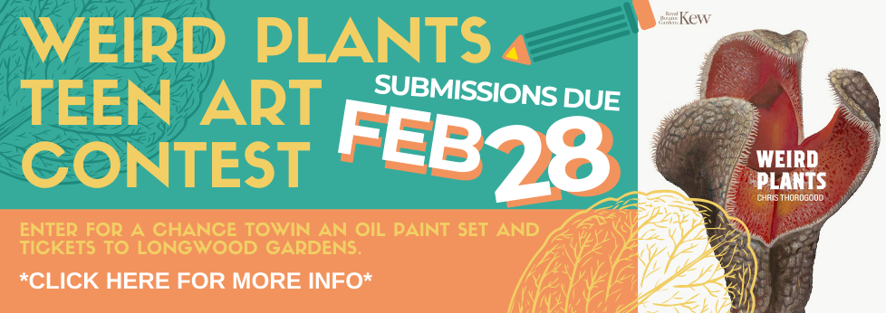 TEEN ART CONTEST
