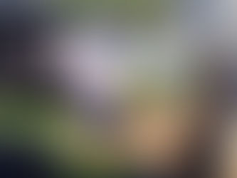 Polícia prende seis suspeitos de sequestro no interior do RN