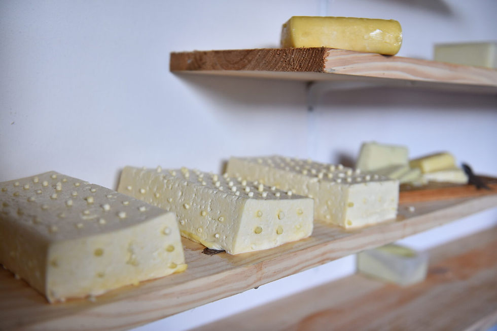Festival do Queijo Potiguar conecta produtores, mercado e gera oportunidades de negócios