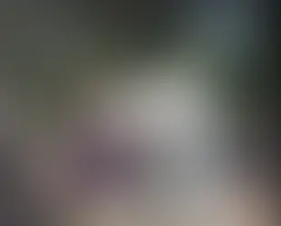 Motorista com sintomas de embriaguez invade praça e mata mulher no interior do RN