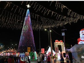 Coluna “Negócios com a Queridinha do Comércio” por Luciana Tito no Blog José Patrício | 07