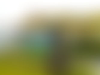 Casa Durval Paiva está precisando de doação de alimentos, fraldas e itens de higiene pessoal