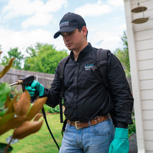 Top 7 Reasons Why Pest Control is Crucial for Your Business