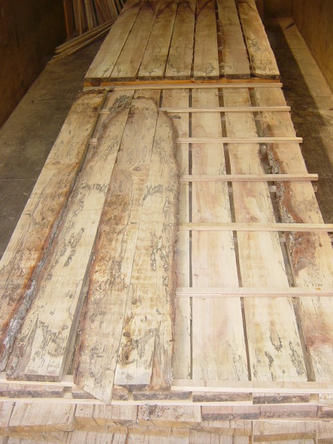 Pecan, spalted129.JPG