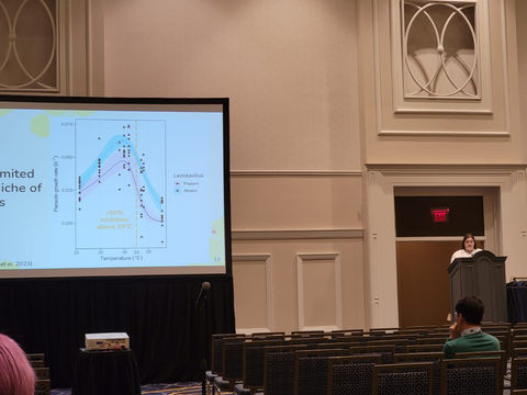 Fiery Friends Curdle Foes: High temperatures augment the inhibition of parasites by a bee symbiont