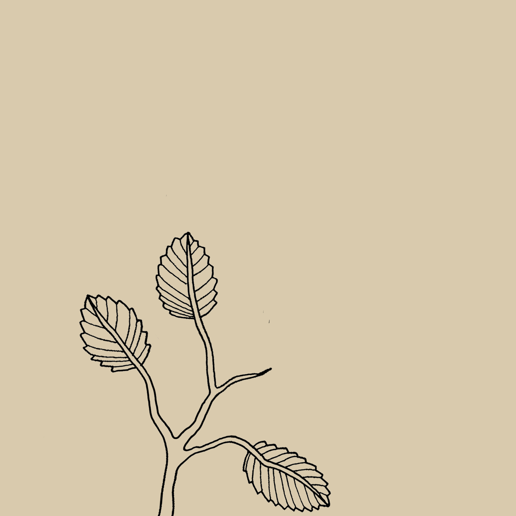GROWING2.gif