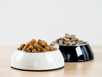 Why Is Pet Nutrition Important?