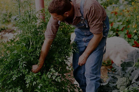 Gardening%20_edited.jpg