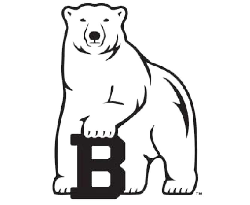 bowdin.logo.png
