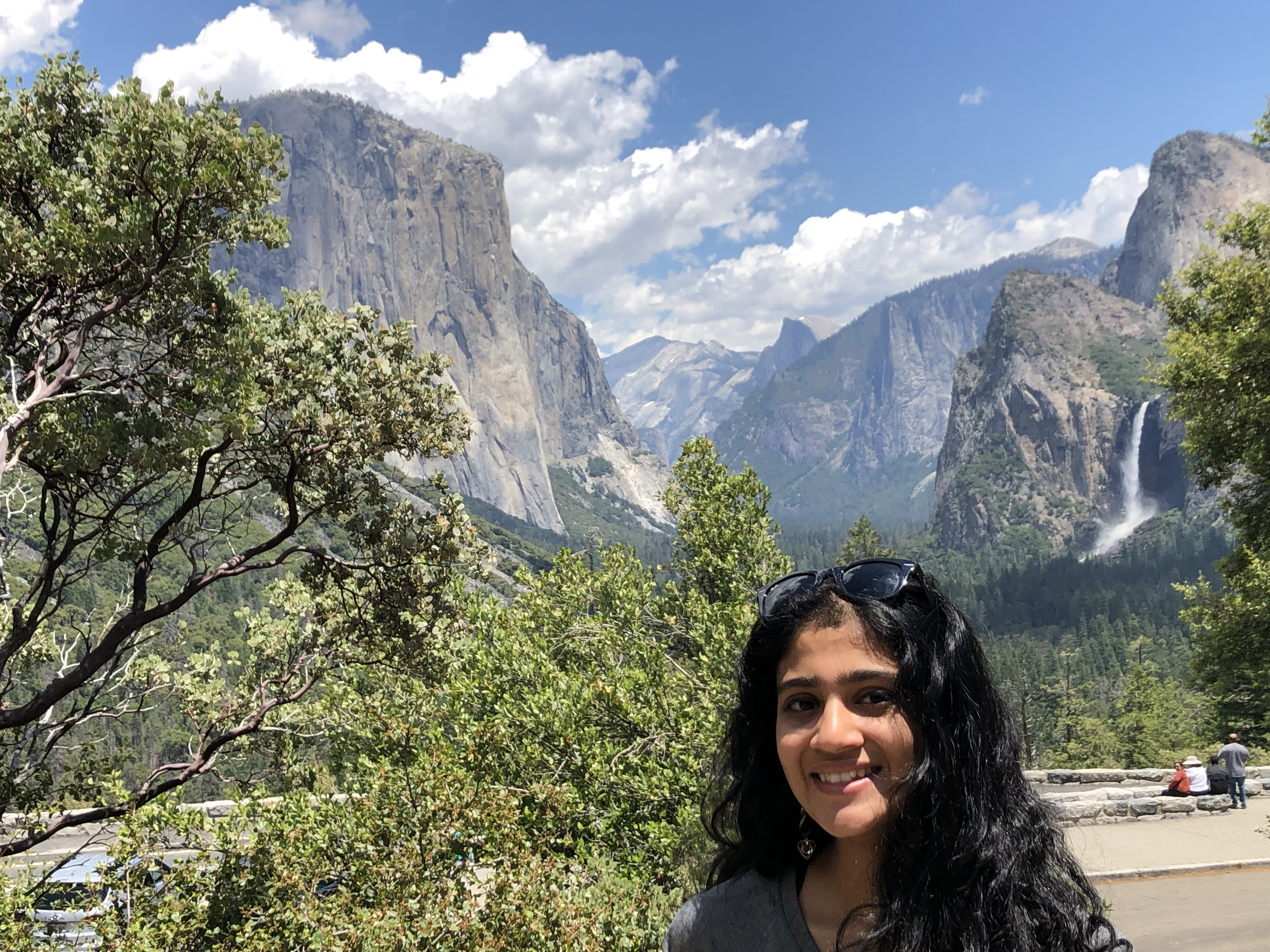 Writer: Aradhana Prabhala