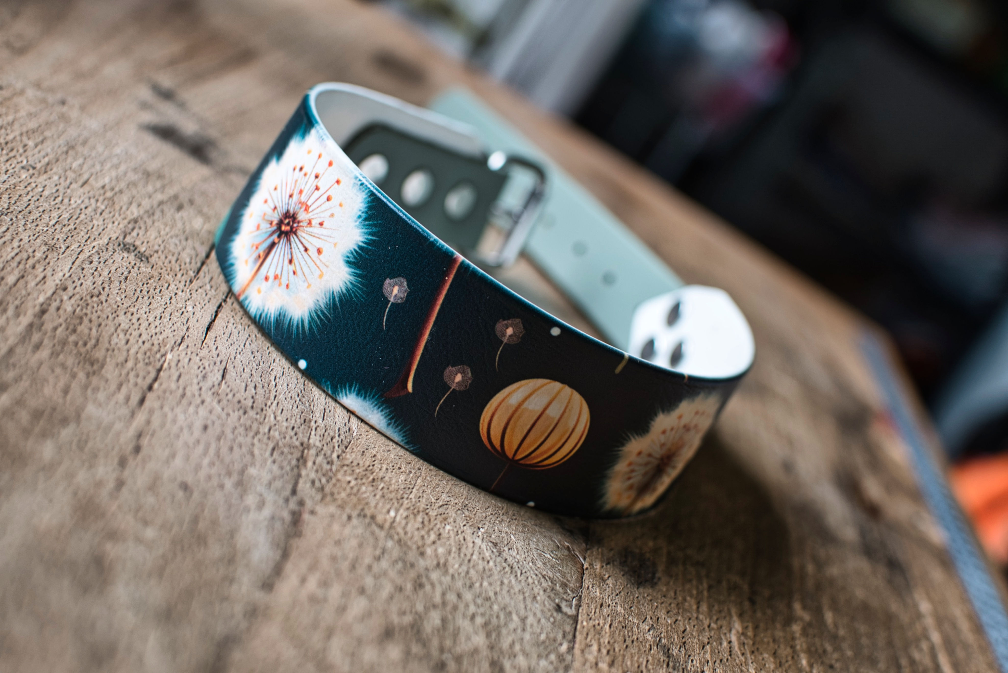 Collier biothane pissenlit 38mm UV