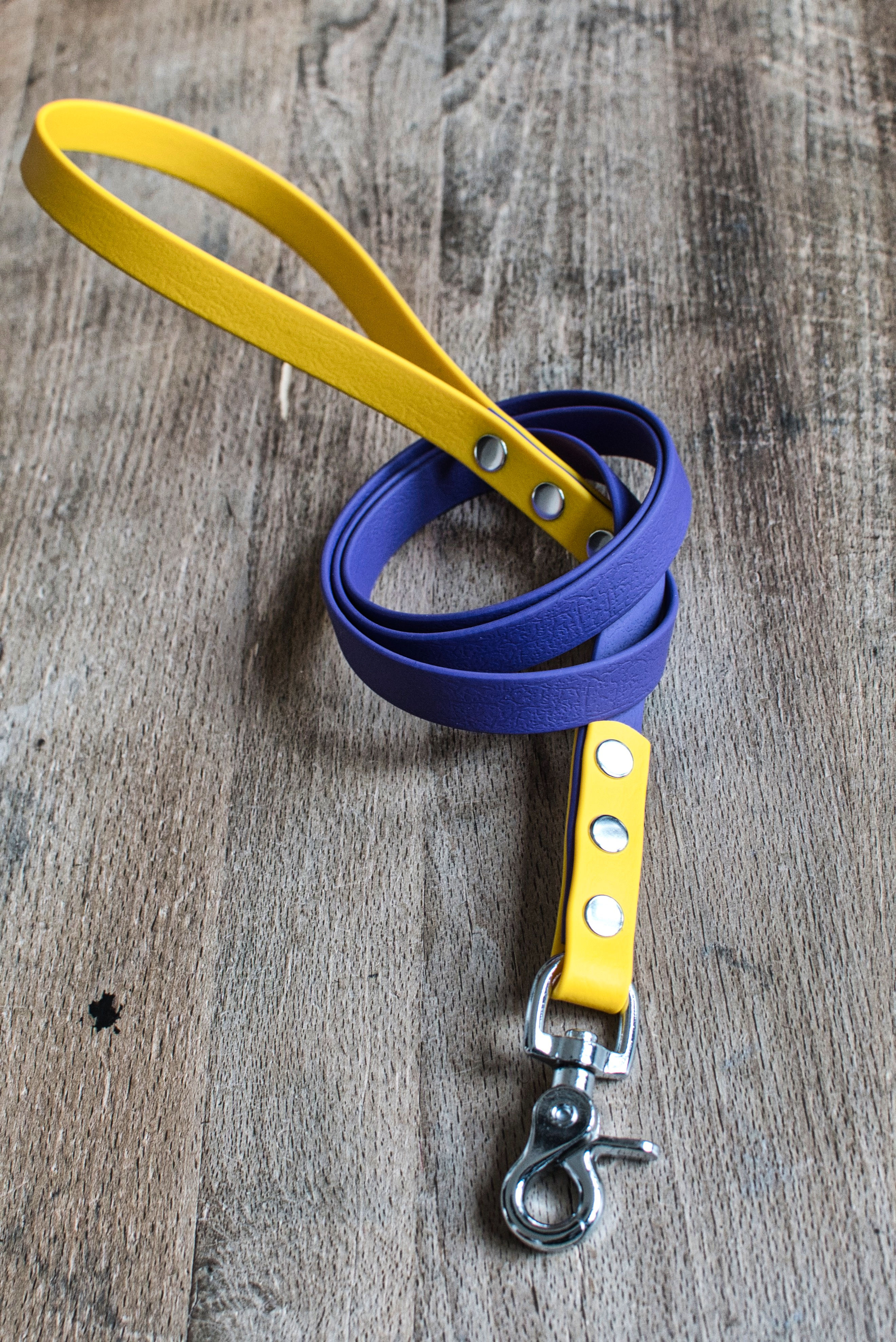 Laisse 16mm 2 couleurs