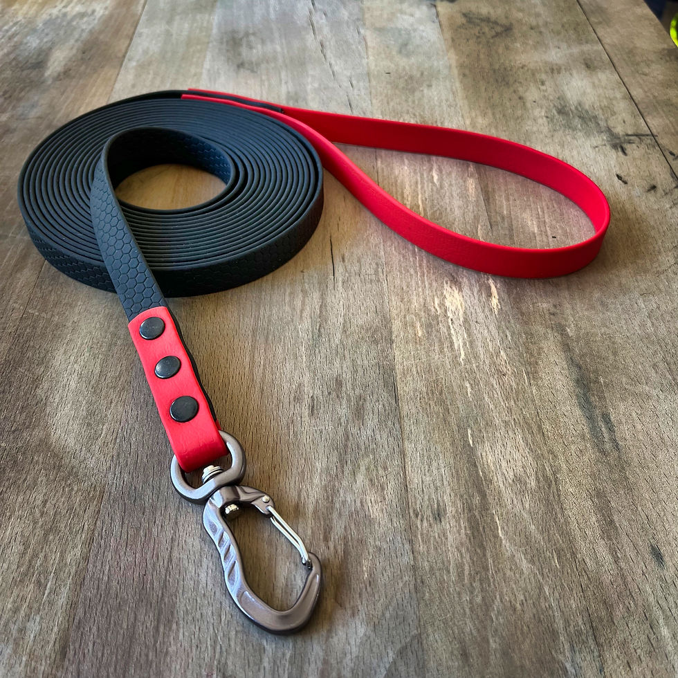 Miniature : Longe sangle enduite hexa 4m 6m 8m 10m