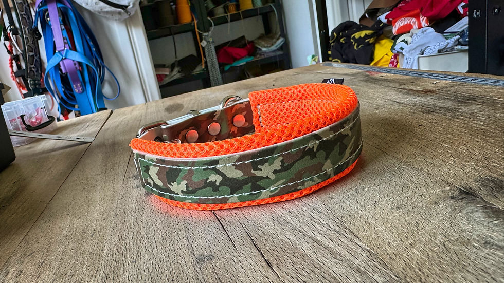 Miniature : Collier Biothane 25mm camo avec doublure
