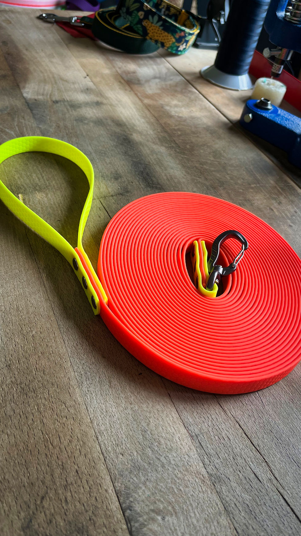 Miniature : Longe bicolore sangle enduite hexa très souple et confortable