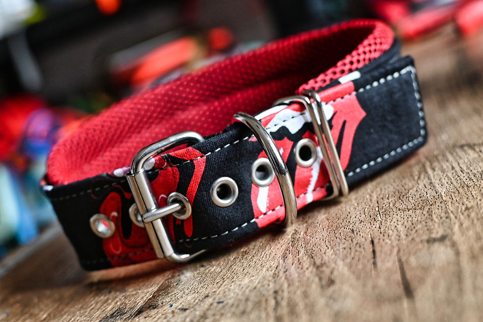 Miniature : Collier The Rolling Stones 40mm