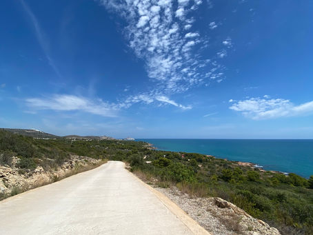 Aonde pertencemos e seus ciclos