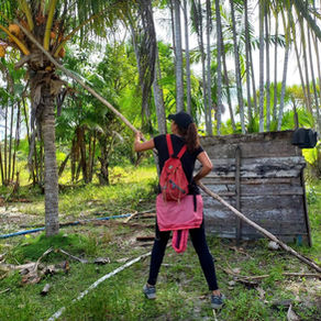 De uma estrada cheia de curiosidade