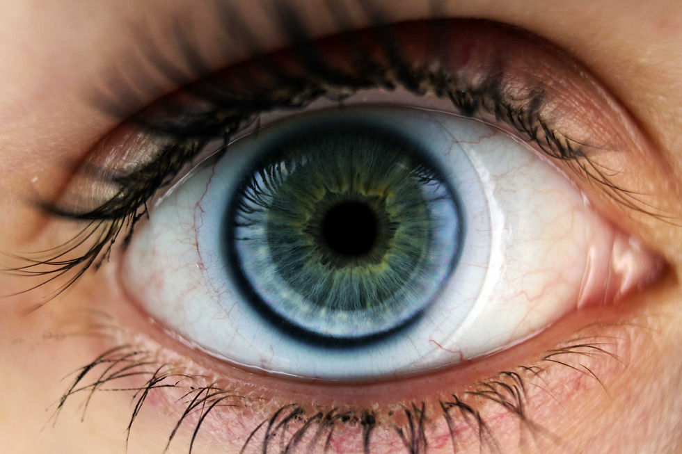 eye