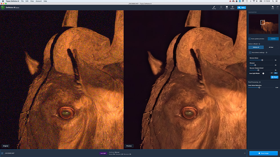 screen shot of the original NEF before and after in Topaz Denoise AI interface
