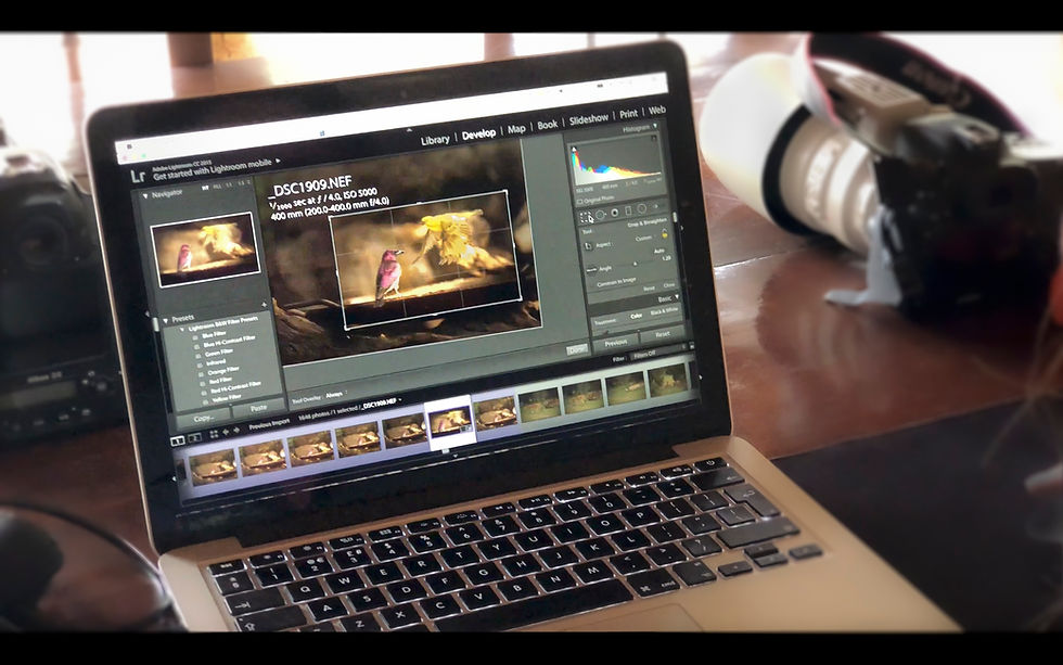 1-2-1 online photography tuition | post production | Trai Anfield