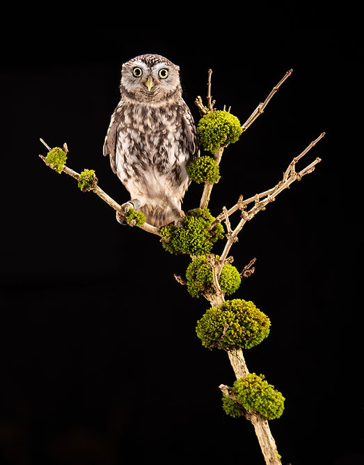 Andy Howey studio test-1136.jpg