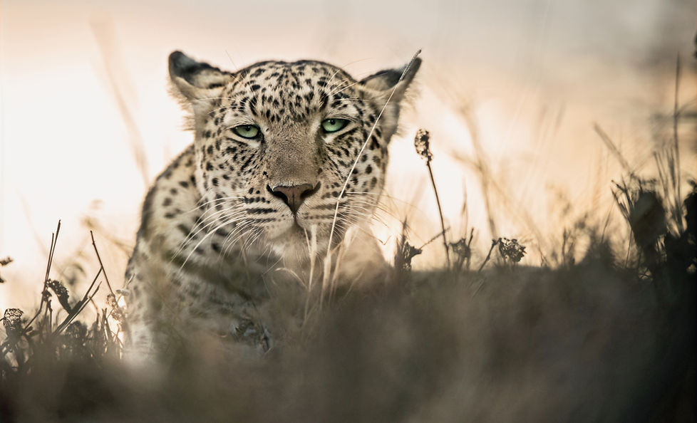 Trai Anfield Photography_boo!_WEB_WM_328