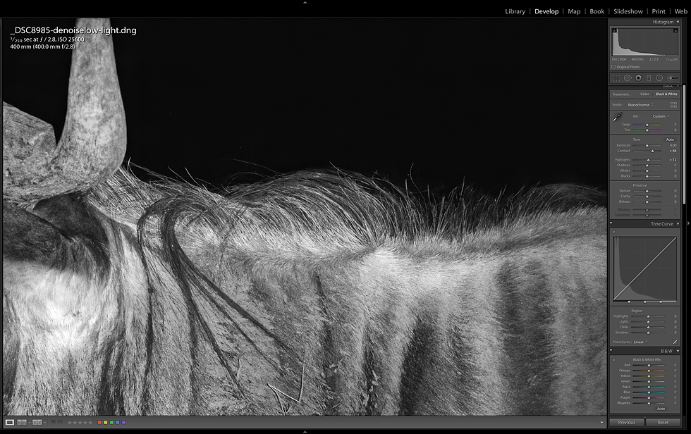 detail from edited shot - not bad for ISO 25600!