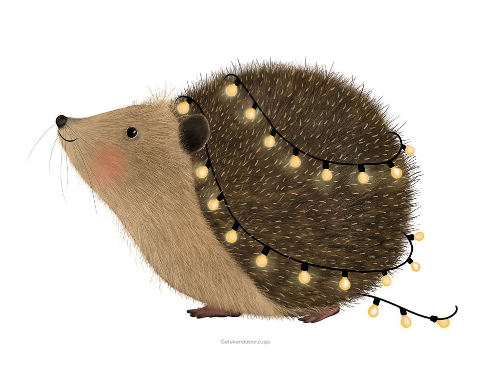 Egel met lichtjes poster