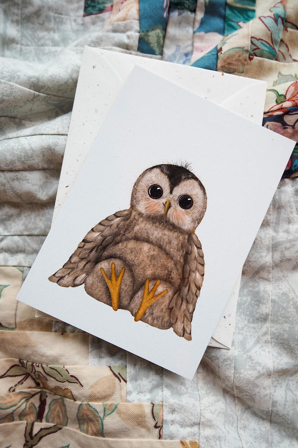 Tawny Owl