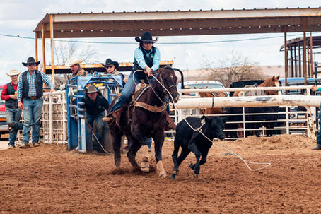Progress | Breakaway Ropers Making History